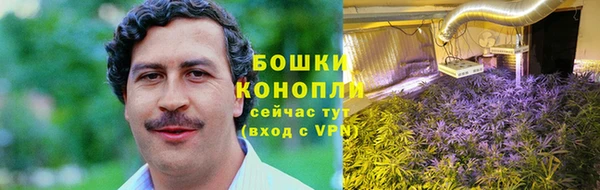 шишки Алексин