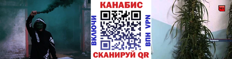 Марихуана сатива  Белореченск 